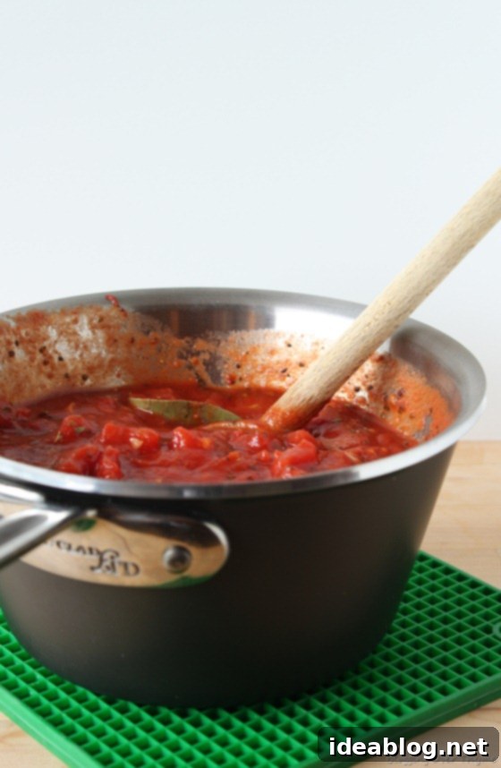Classic Homemade Tomato Sauce 2 Homemade Tomato Sauce