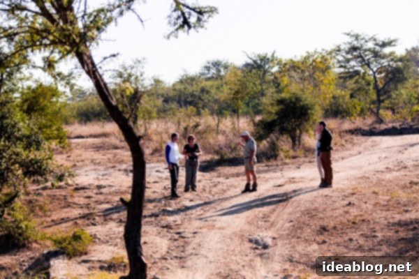 Kapama's Fifth Safari: Deep into South Africa's Wild Heart 14 Safari Drink and Snacks