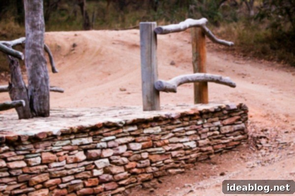 Kapama's Fifth Safari: Deep into South Africa's Wild Heart 3 Kapama Game Reserve Safari Vehicle