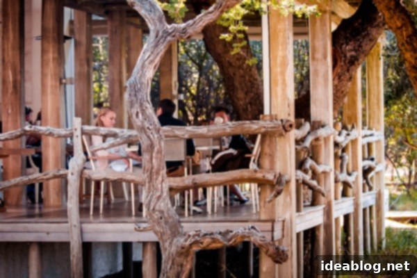 Kapama's Fifth Safari: Deep into South Africa's Wild Heart 26 White Rhino Family