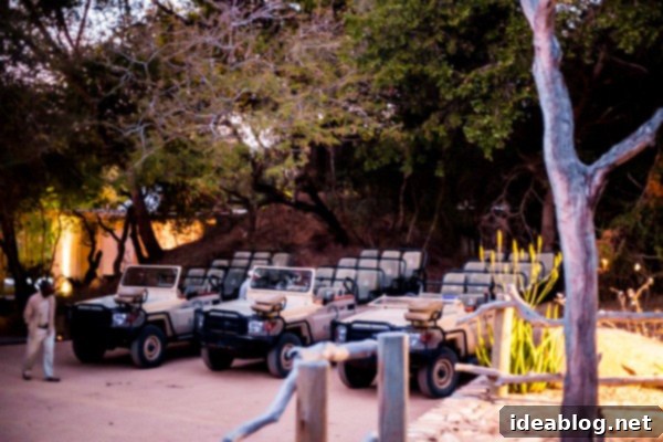 Kapama's Fifth Safari: Deep into South Africa's Wild Heart 4 Open Safari Vehicle in Kapama