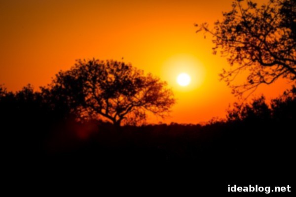 Kapama's Fifth Safari: Deep into South Africa's Wild Heart 40 Mother Rhino and Baby