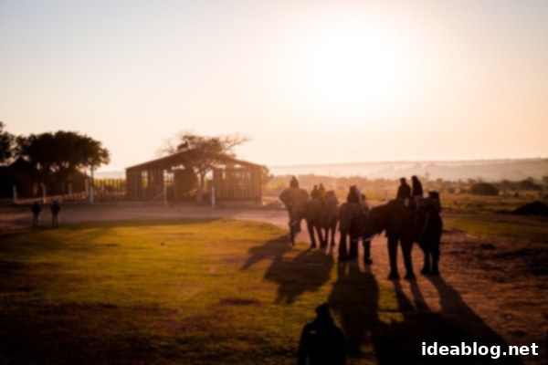 Kapama's Fifth Safari: Deep into South Africa's Wild Heart 43 Elephant Back Safari