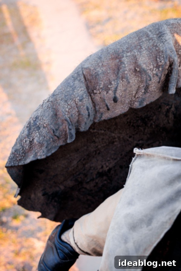 Kapama's Fifth Safari: Deep into South Africa's Wild Heart 46 Riding Elephant