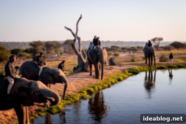 Kapama's Fifth Safari: Deep into South Africa's Wild Heart 47 Couple on Elephant Back