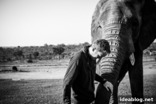 Kapama's Fifth Safari: Deep into South Africa's Wild Heart 53 Feeding Elephant Pellets
