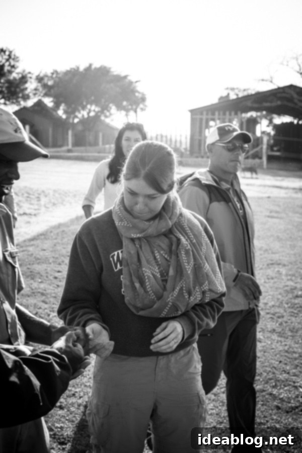 Kapama's Fifth Safari: Deep into South Africa's Wild Heart 55 Elephant and Warthogs