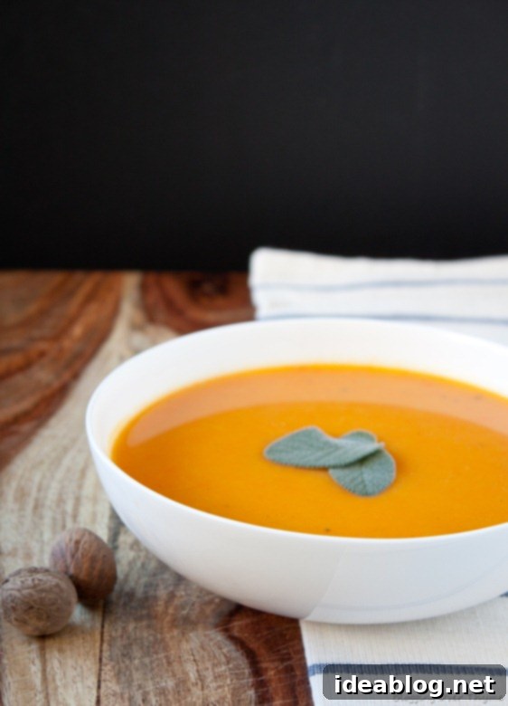 Creamy Golden Harvest 5 Simple Butternut Squash Carrot Soup