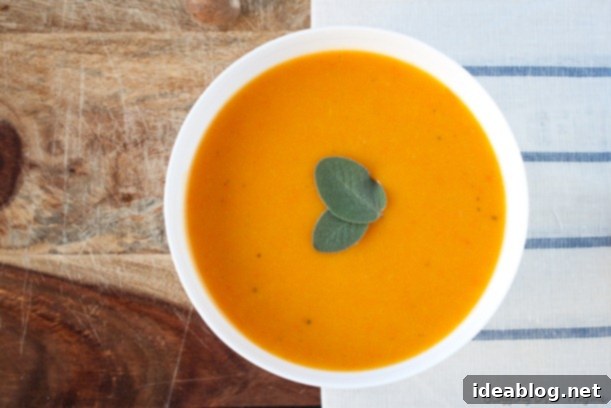 Creamy Golden Harvest 3 Butternut Squash and Carrots for Soup