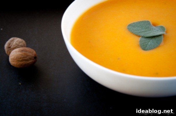 Creamy Golden Harvest 4 Delicious Butternut Squash Carrot Soup in a Bowl
