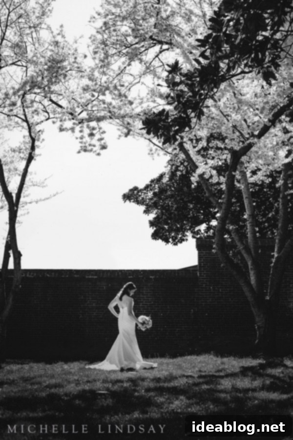 Sakura Ever After 27 Oxon Hill Wedding | Michelle Lindsay Photography