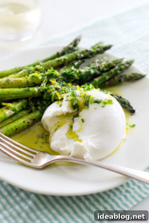 Summer Burrata Delights: 12 Irresistible Recipes 12 Quick Roasted Asparagus with Burrata and Gremolata