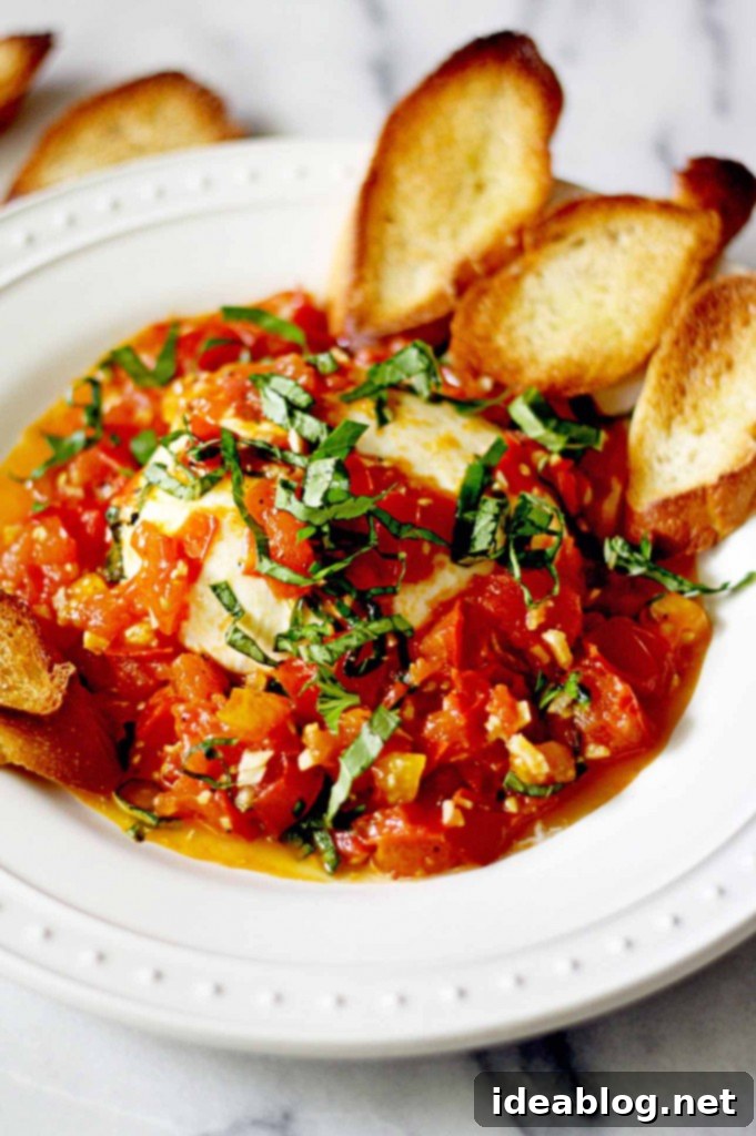 Summer Burrata Delights: 12 Irresistible Recipes 6 Burrata with White Wine and Garlic Sautéed Tomatoes