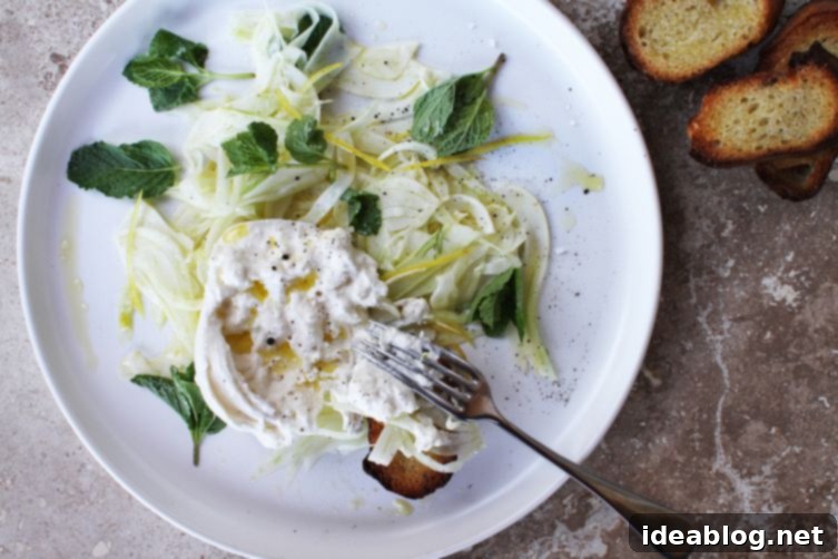 Summer Burrata Delights: 12 Irresistible Recipes 9 Lemon and Olive Oil Marinated Fennel with Burrata and Mint