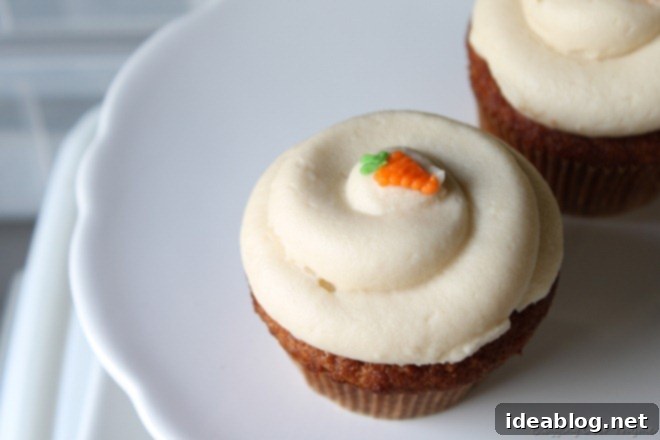 Annual Reflections: Part One 3 cupcake