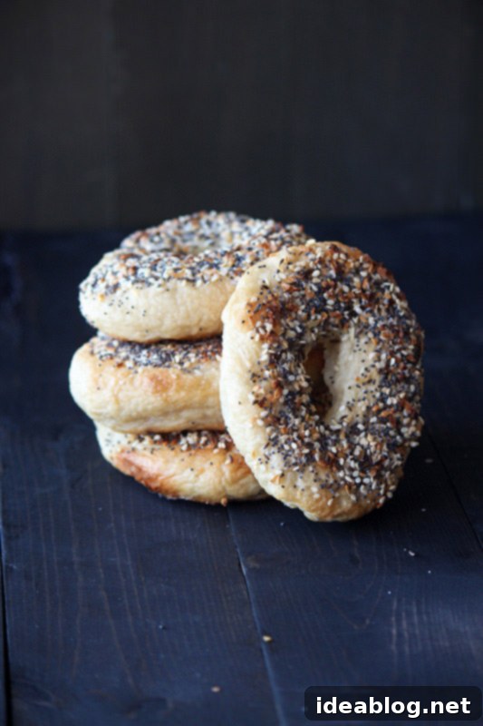 9 Everything Bagel Recipes to Obsess Over 9 Perfectly baked Homemade Everything Bagels arranged on a rack