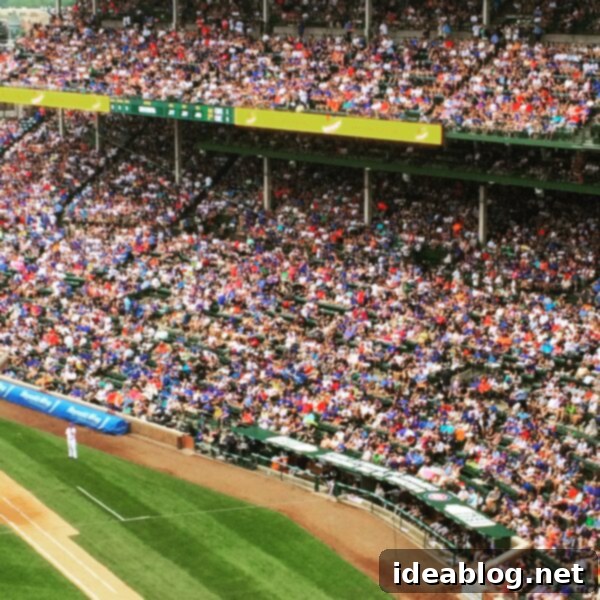 The Sunday Pulse 2 Chicago Cubs