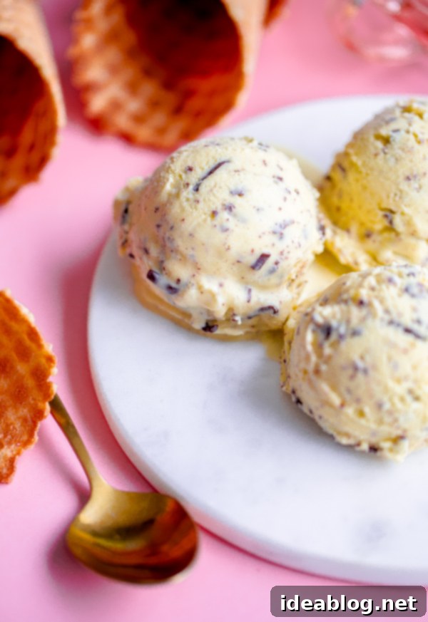 Olive Oil Stracciatella Ice Cream - Creamy homemade dessert with chocolate flecks