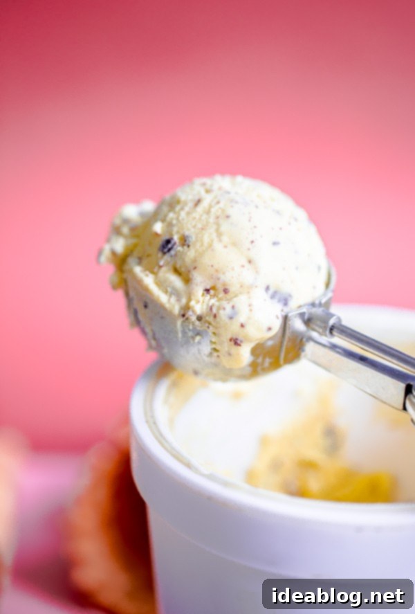 Scoop of Olive Oil Stracciatella Ice Cream - Close up of chocolate flecks