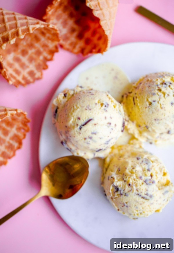 Olive Oil Stracciatella Ice Cream in bowl - Ready to be served