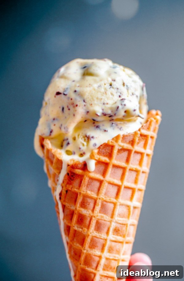 Olive Oil Stracciatella Ice Cream in a Waffle Cone