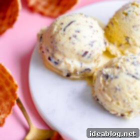 Artisan Olive Oil Stracciatella 7 Olive Oil Stracciatella Ice Cream