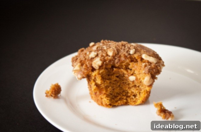 Spiced Pumpkin Muffins with Toasted Walnut Streusel 3 Close-up of a Pumpkin Walnut Streusel Muffin with a bite taken out, showing its moist interior and crunchy topping