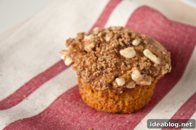 Spiced Pumpkin Muffins with Toasted Walnut Streusel 4 Plate of freshly baked Pumpkin Walnut Streusel Muffins, golden brown and perfectly topped