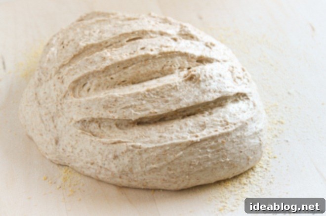 Artisanal French Boule 2 french boule bread