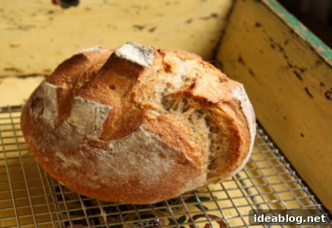 Artisanal French Boule 4 french boule bread