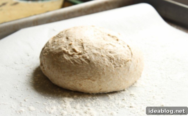 Artisanal French Boule 6 shaped french boule dough