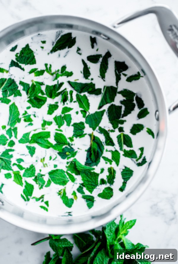 Minty Vanilla Dream 3 Fresh Vanilla Mint Ice Cream. This ice cream is flavored with fresh mint leaves only and is so refreshing!