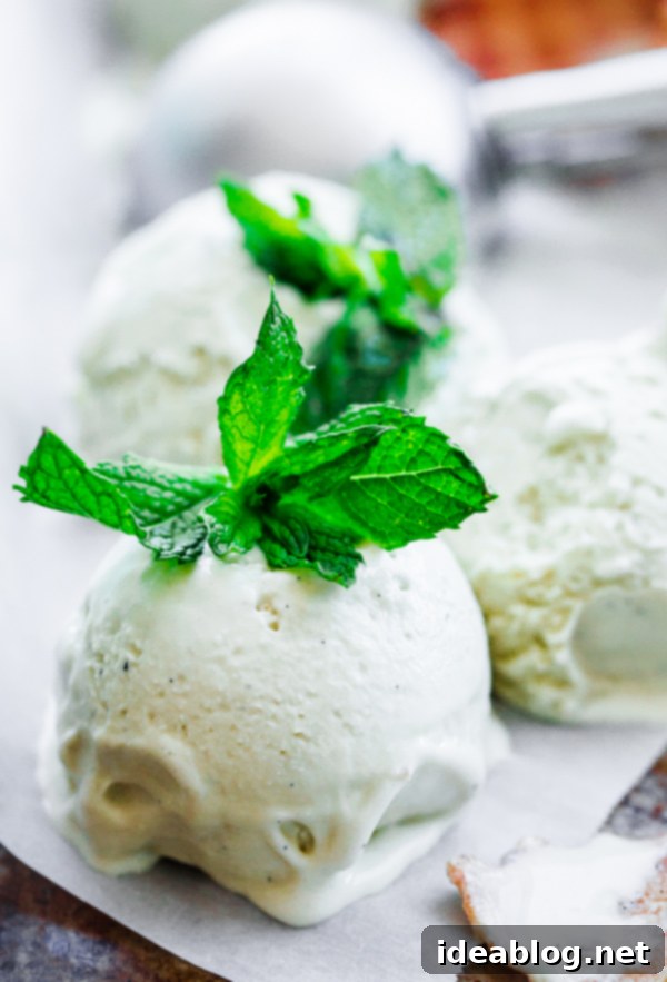 Minty Vanilla Dream 4 Fresh Vanilla Mint Ice Cream. This ice cream is flavored with fresh mint leaves only and is so refreshing!