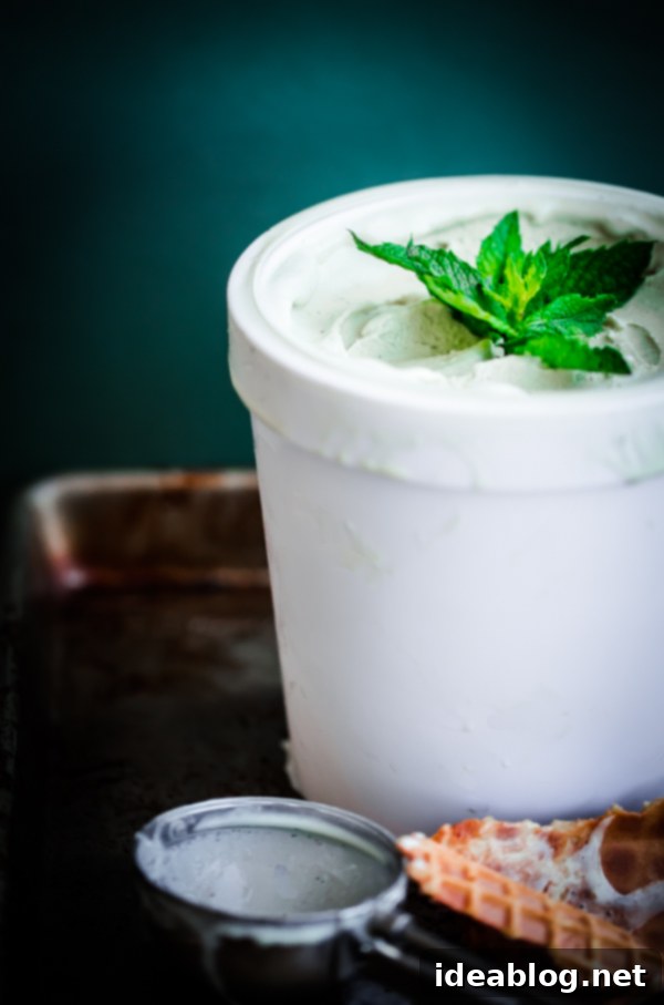 Minty Vanilla Dream 5 Fresh Vanilla Mint Ice Cream. This ice cream is flavored with fresh mint leaves only and is so refreshing!