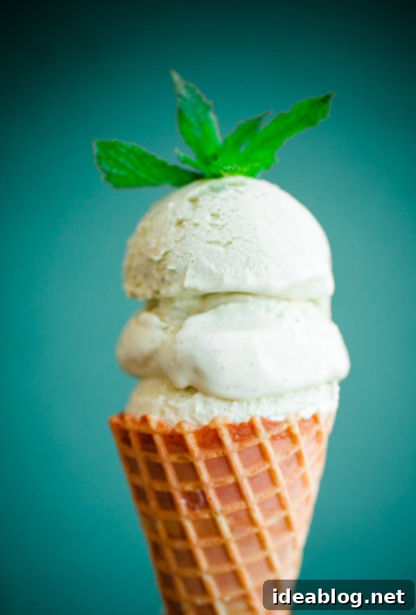 Minty Vanilla Dream 6 Fresh Vanilla Mint Ice Cream. This ice cream is flavored with fresh mint leaves only and is so refreshing!