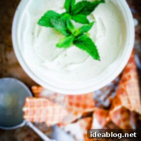 Minty Vanilla Dream 7 Fresh Vanilla Mint Ice Cream. This ice cream is flavored with fresh mint leaves only and is so refreshing!