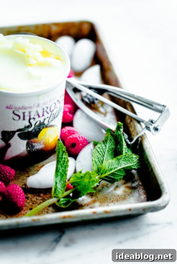 Effervescent Raspberry Mint Float 3 Scoop of vibrant lemon sorbet, key ingredient for a refreshing prosecco float.