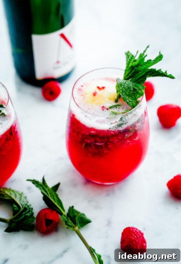 Effervescent Raspberry Mint Float 5 Sorbet Prosecco Floats in a glass, ready to be served as a delightful summer beverage.