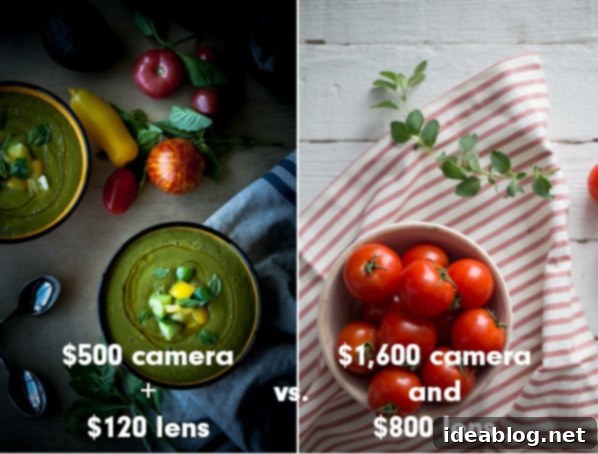 10 Affordable Food Photography Backgrounds  Crop Sensor Photograph Next to Full Frame Photograph - Showing Minimal Difference with Skill