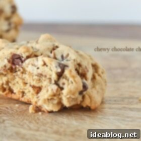 Gooey, Chewy Chocolate Chip Bliss 4 Chewy Chocolate Chip Cookies