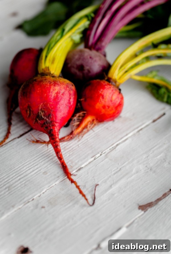 Roasted Beetroot Salad with Whipped Ricotta, Shaved Fennel, and Citrus Segments 3 Mixed Beets