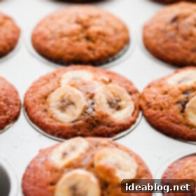 Irresistible Espresso Banana Chocolate Chunk Muffins 2 Banana Chocolate Chunk Espresso Muffins.