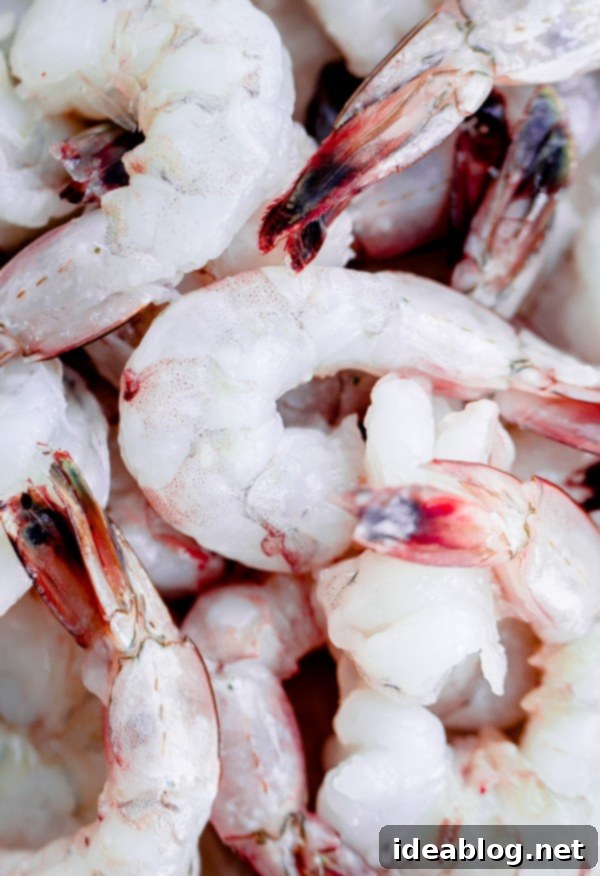 Lightning-Fast Shrimp and Snow Pea Stir Fry 3 Fresh Raw Gulf Shrimp with Tails for stir fry