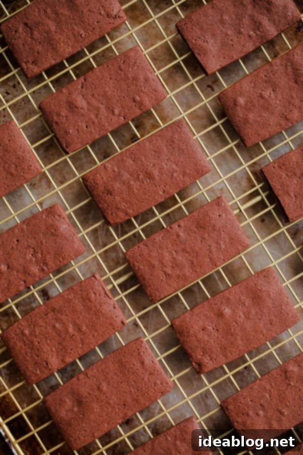 A delicious recipe for homemade Tim Tams - a classic Australian cookie biscuit filled with malted chocolate buttercream and dipped in chocolate. #recipe #chocolate #cookie #timtam #abeautifulplate #dessert How to Make Homemade Tim Tams - Step-by-step chocolate cookie recipe
