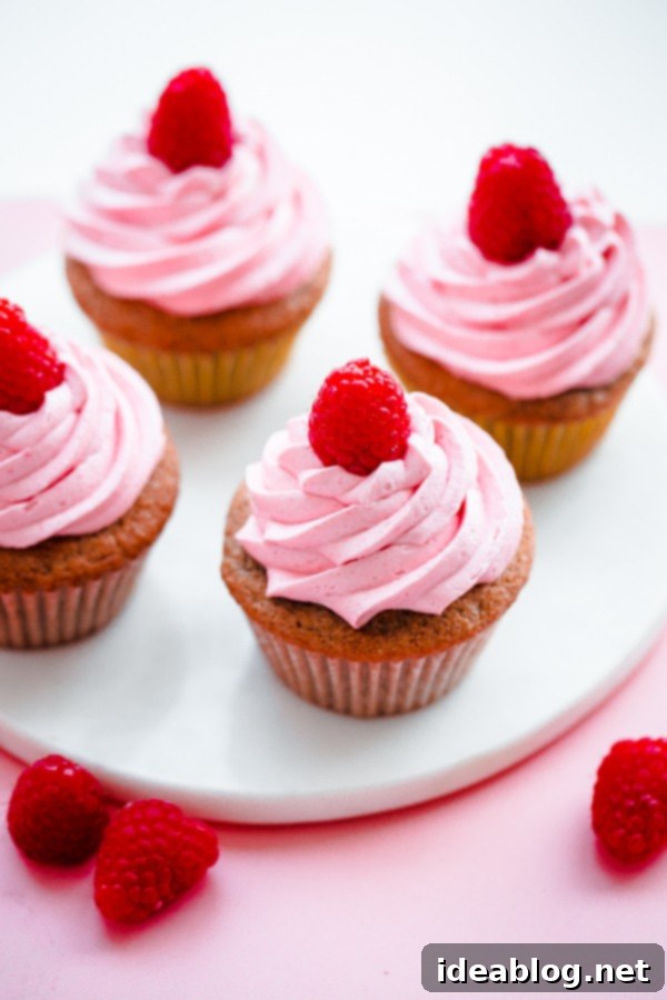 Jammy Raspberry Bliss Cupcakes 2 Roasted Raspberry Cupcakes