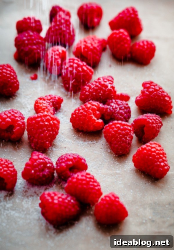 Jammy Raspberry Bliss Cupcakes 3 Fresh Raspberries Sprinkled with Sugar