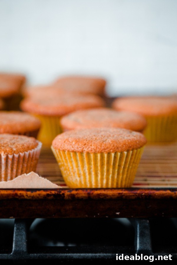 Jammy Raspberry Bliss Cupcakes 4 Roasted Raspberry Cupcakes