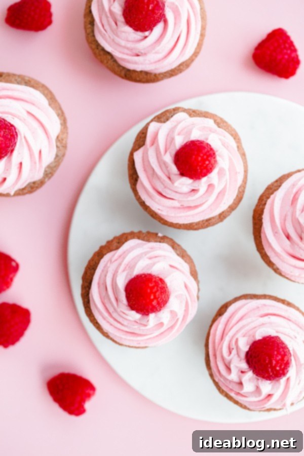Jammy Raspberry Bliss Cupcakes 5 Roasted Raspberry Cupcakes with Raspberry Buttercream