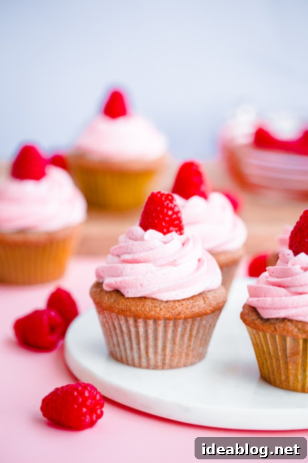 Jammy Raspberry Bliss Cupcakes 6 Roasted Raspberry Cupcakes with Raspberry Buttercream