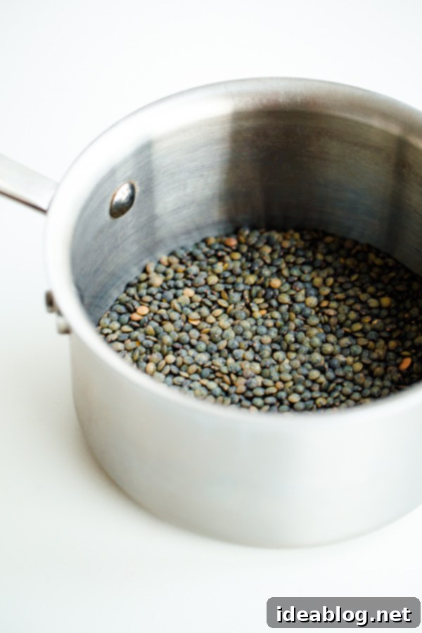 Puy Lentils: The Heart of the Salad High-quality Puy lentils, perfectly cooked and ready for a nutritious salad.